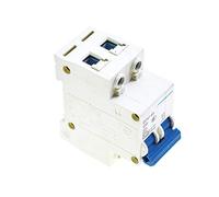Reland Sun Miniature Circuit Breaker 2P 400V AC Miniature Circuit Breaker Leakage Protection Air Switch DZ47 2P-6A 2P-10A 2P-20A 2P-25A 2P-32A 2P-40A 2P-50A 2P-63A House MCB with Indication (2P-40A)