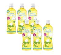 Relax Jasmine Tea Drink 600ml (Pack of 6) - Fragrant Unsweetened Japanese Tea, Ready to Drink, Caffeine-Light, Calming & Sugar-Free Beverage