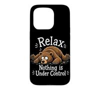 Relax Nothing Is Under Control Funny Bear Lover Sarcasm Case for iPhone 15 Pro