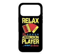 Relax The Accordion Player Is Here Case for iPhone 17 Pro Max
