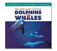 Relax With Nature 7 - Dolphins and Whales