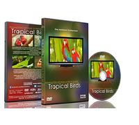 Relaxation DVD - Tropical Birds with Music or Nature Sound