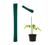 Relaxdays 100x Green Plant Stake 60 cm