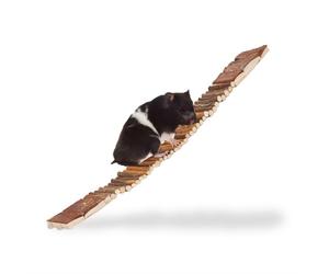 Relaxdays 10x Small Animal / Bird Wooden Ladder
