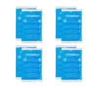 Relaxdays 24x blue rectangular gel packs
