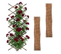 Relaxdays 3-piece extendable trellis