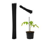 Relaxdays 300x Black Plant Support Sticks 30 cm