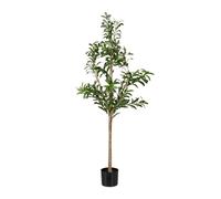 Relaxdays Artificial Olive Tree