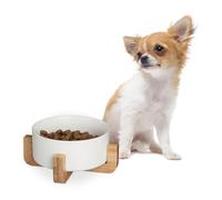 Relaxdays Ceramic Dog, 850 ml, Water, Food Bowl with Bamboo Stand, HxWxD: 9 x 20 x 20 cm, White