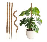 Relaxdays Coconut Sticks in a Set of 5, Flexible Plant Rods, for Monstera, Ivy and more, 90 cm Long, Coir Fibre, Natural, Coco, 90 x 3 x 3 cm