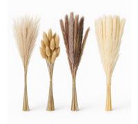 Relaxdays Dried pampas grass, 144 pieces set