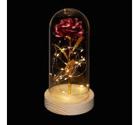 Relaxdays Everlasting Rose in Glass