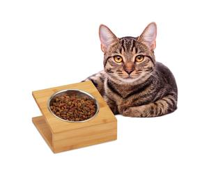 Relaxdays Feeding Station in Various Designs