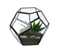 Relaxdays Geometric Glass Terrarium