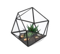 Relaxdays Geometric Glass Terrarium