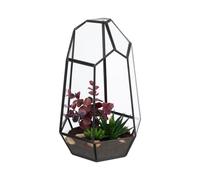 Relaxdays Geometric Glass Terrarium 25 cm