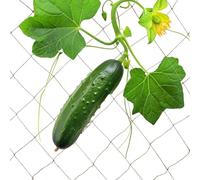 Relaxdays Jute Trellis Net, Cucumber & Flowers Climbing Support, Garden & Greenhouse, Biodegradable, 2 x 3 m, Natural