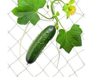 Relaxdays Jute Trellis Net, Cucumber & Flowers Climbing Support, Garden & Greenhouse, Biodegradable, 2 x 3 m, Natural