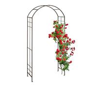 Relaxdays Metal Rose Arch, Garden Arbour, HxWxD: 224 x 110 x 41 cm, Sturdy Climbing Support for Plants & Flowers, Bronze, Iron