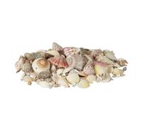 Relaxdays Mix of Sea and Snail Shells 1 kg