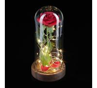 Relaxdays Perpetual Rose in a Glass with Light