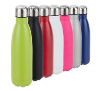 Relaxdays Set of 2 Stainless Steel Flask Green