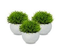 Relaxdays Set of 3 Artificial Plants in Pots