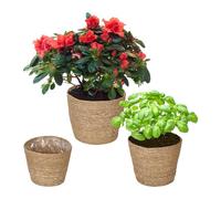 Relaxdays Set of 3 Flower Pot Seagrass in 3 Sizes, Plants & Herbs, Lined with Plastic Foil, Round, Natural, Fibre, 20 x 23.5 cm
