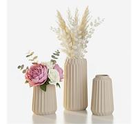 Relaxdays Set of 3 Vases, Flower Vases, 3 Sizes, Fresh & Dried Flowers, Decorative Ceramic, Table Decor, Beige