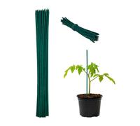 Relaxdays Set of 50 Plant Support Sticks 30 cm