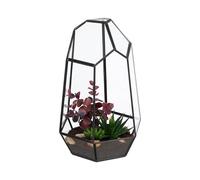 Relaxdays Terrarium, Geometric Glass & Tin, Mini Greenhouse for Plants, Succulents & Moss, Decor for Windowsill, Black