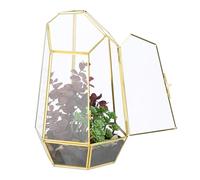 Relaxdays Terrarium, Glass & Copper, Geometric, 26x18x15 cm, Succulents & Air Plants, Mini Greenhouse, Decor, Gold