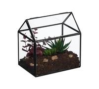 Relaxdays Terrarium, Glass & Tin, House Shape, Succulents, Moss & Air Plants, Mini Greenhouse, Decor for Windowsill