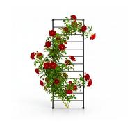 Relaxdays Trellis, 1 set, wall grid, H x W: 210 x 76 cm, climbing plants, climbing aid, wall mounting, steel, black