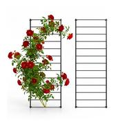 Relaxdays Trellis, 2-pack, wall trellis HxW 210x76 cm, climbing plant support, wall fixings, steel, black