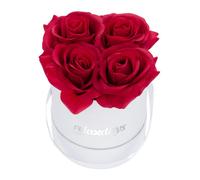 Relaxdays White Round Flowerbox with 4 Roses