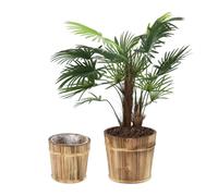 Relaxdays 2x Round Wooden Flowerpots, with Ø: 24 & 19 cm, Weatherproof, Garden, Balcony and Windowsill, Firwood, Natural, Wood, 2 Sizes