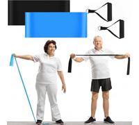 Relaxgiant 2 Pcs Resistance Band with Handles Chair Exercise Equipment for Seniors Physical Therapy Band Gifts for Elderly Women Rehab, Physical, Grandma, Grandpa(Blue,Black)