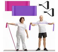 Relaxgiant 2 Pcs Resistance Band with Handles Chair Exercise Equipment for Seniors Physical Therapy Band Gifts for Elderly Women Rehab, Physical, Grandma, Grandpa(Rose Red,Purple)