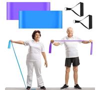 Relaxgiant 2 Pcs Resistance Band with Handles Chair Exercise Physical Therapy Band for Seniors Citizen Gifts Elderly Women Therapy, Stretch, Recovery, Home Exercise(Blue,Purple)