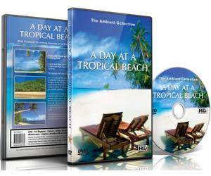 Relaxing Beach DVD - A Day at The Tropical Beach for Relaxation with Ocean Wave Sounds