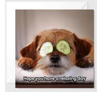 Relaxing Dog at a Spa with Cucumber Over Eyes Funny Birthday Card - Great Card to Send to Friends - Best Friend Birthday Card - Relaxing Card - Dog Greeting Card