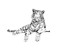 Relaxing Tiger Wall Decals for Living Room Forest Animal Vinyl Stickers Wallpaper Jungle Rooms Decoration Removable Large - 67x86cm