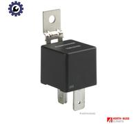Herth+Buss Relay 75613102 – Main Current