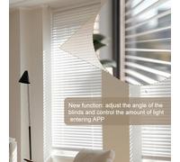 Relay Switch Module for Life App, WiFi Remote Control for Blinds and Curtains with Dry, Compatible with Alexa, 12-24V(1)