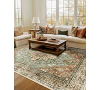 RELEANY Area Rugs 7'x9' Washable Non-Slip, Floral Vintage Distress Print Pattern Medallion Carpet for Living Room Bedroom Dining Room, Brick Red Rust Neutral Brown Burnt Orange Green