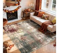 RELEANY Washable Area Rugs 5'x7' Non-Slip Modern Abstract Soft for Living Room Entryway Bedroom Nursery, Print Pattern, Brown Rust Red Green Blue Multi