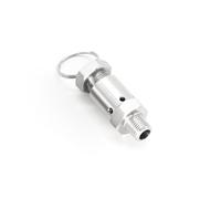 Release Valve Component, 304 SS Sanitary Spring PRV 1/4" BSP 0.5-10 bar for Air Compressor Pressure Cooker(6 10 Bar Adjustable)