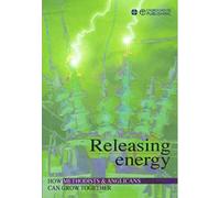 Releasing Energy: How Methodists and Anglicans Can Grow Together