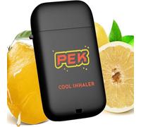 Relevantdo Nasal Stick, Pek Pro 2.0 Nasal Stick Inhaler,Portable Double Hole Travel Fragrance Bar,Dual-Tip Travel Fragrance Bar,Cool Mint Energizing Scents with Flip Cover (Pomelo)